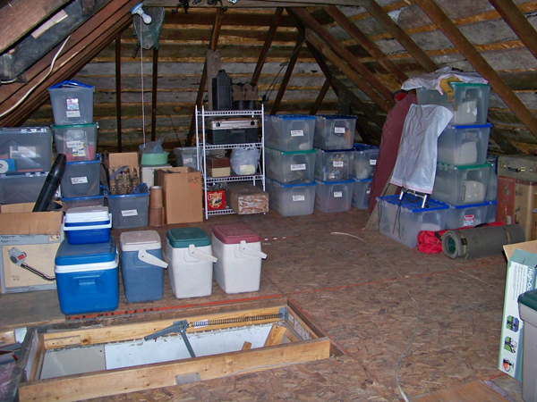 Organized and clean attic